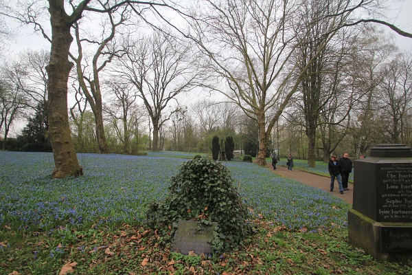Fruehling   104.jpg
